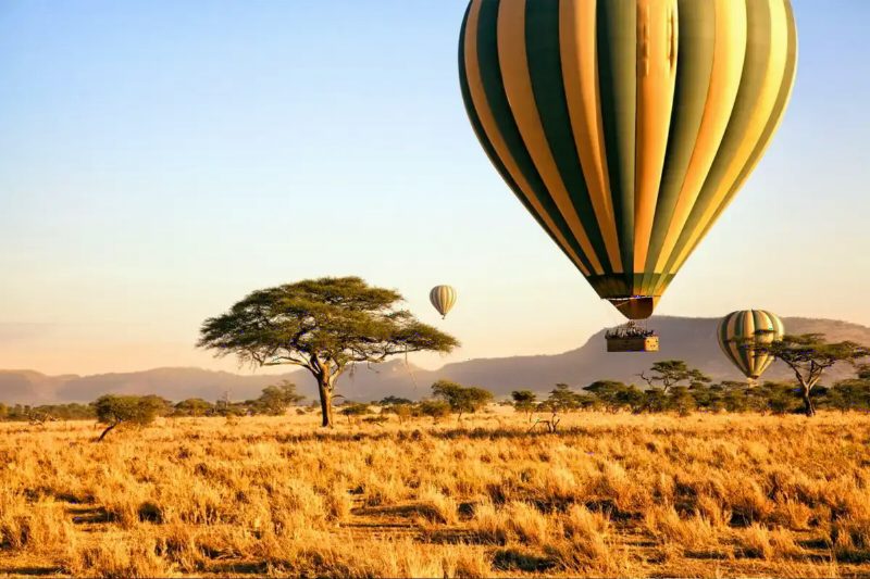 A striped hot-air balloon floating over golden grass and a lone acacia at sunrise.
