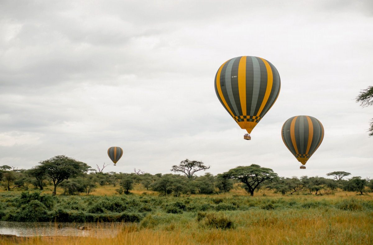 Hot-air balloons floating over trees and grassland.