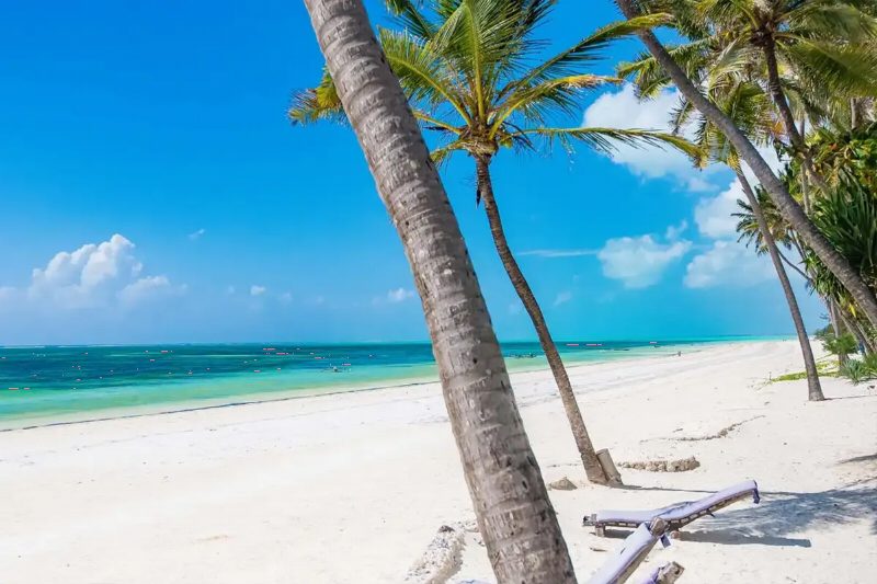A white sand beach fringed with leaning palms and turquoise water.