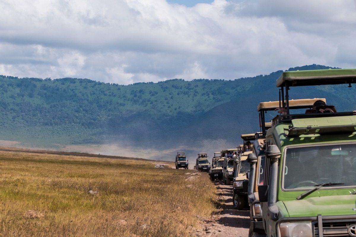A line of safari vehicles parked along a track on the crater floor.
