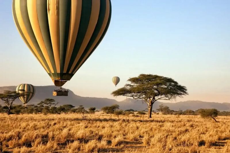 A striped hot-air balloon lifting off above grassland and a single acacia, with another balloon behind.