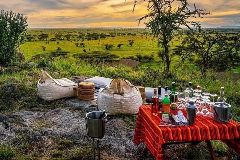 A bush picnic laid on a red cloth on the grass, with a wine cooler and cushions under the trees.