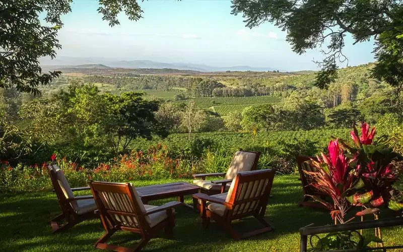 Wooden garden chairs on a terrace looking out over green farmland and forest.