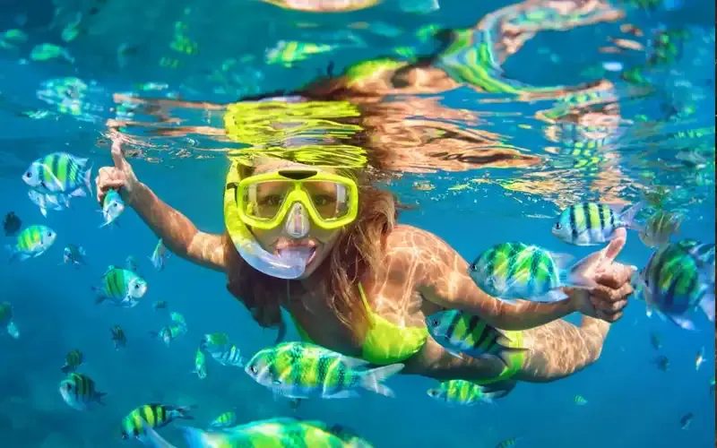 A snorkeller swimming among yellow-striped fish in clear blue water.