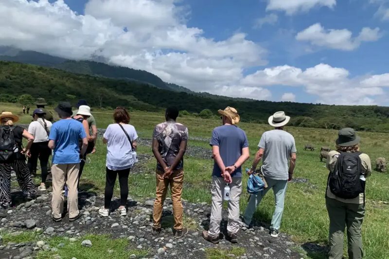 A group of walkers on a grassy hillside, looking out over a green valley under big clouds.