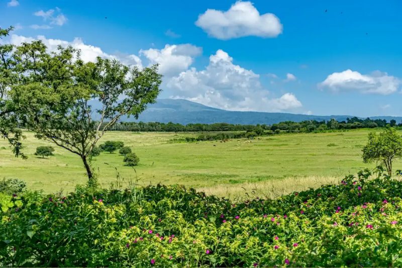 Green farmland and trees in the highlands, with a distant ridge under a bright blue sky.