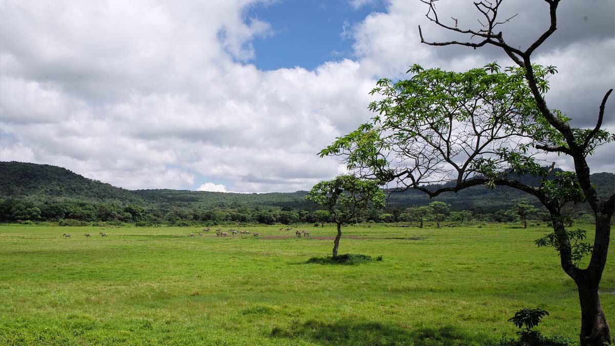 Arusha